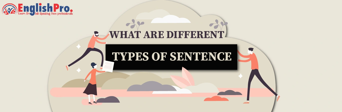 What are different Types of Sentences